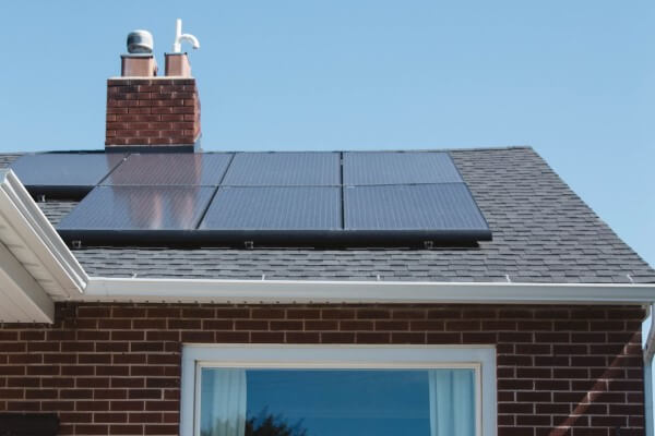 PEST CONTROL HARLOW, Essex. Services: Solar Panel Bird Proofing. Safeguard Your Solar Panels from Bird Infestation with Local Pest Control Ltd's Expert Bird Proofing Services in Harlow